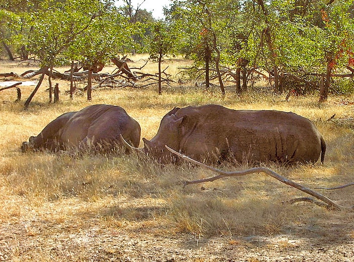 Park Narodowy Mosi-oa-Tunya, Zambia