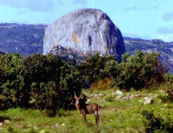 Park Narodowy Nyanga